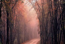 王媛媛回应质疑，承认存在差距，有望进军新领域.