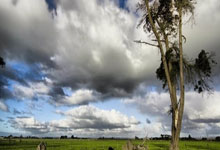 库巴西：巴萨能争冠&现在是真正发力的时候，发挥好能进欧冠决赛.