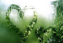 [欧冠]1／4决赛次回合：多特蒙德VS马德里竞技.