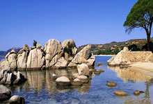 沙特媒体：武磊和朱辰杰的缺席，将让中国队在面对沙特时充满担忧.